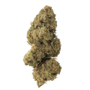 Photo of Special Sauce (CBD)