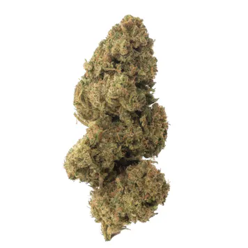 Photo of Special Sauce (CBD)