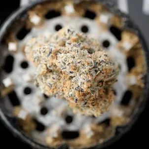 Photo of British Columbia's Gas 7g Dried Cannabis