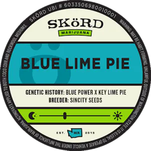 Photo of Blue Lime Pie