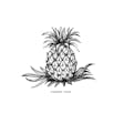 Product image for Pineapple Chunk