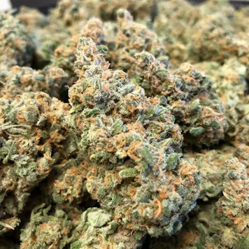 Photo of Sour Urkle Flower