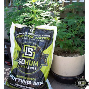 Photo of Beginner Complete Grow Tent Kit | Mars FC3000 LED | 3’ x 3’