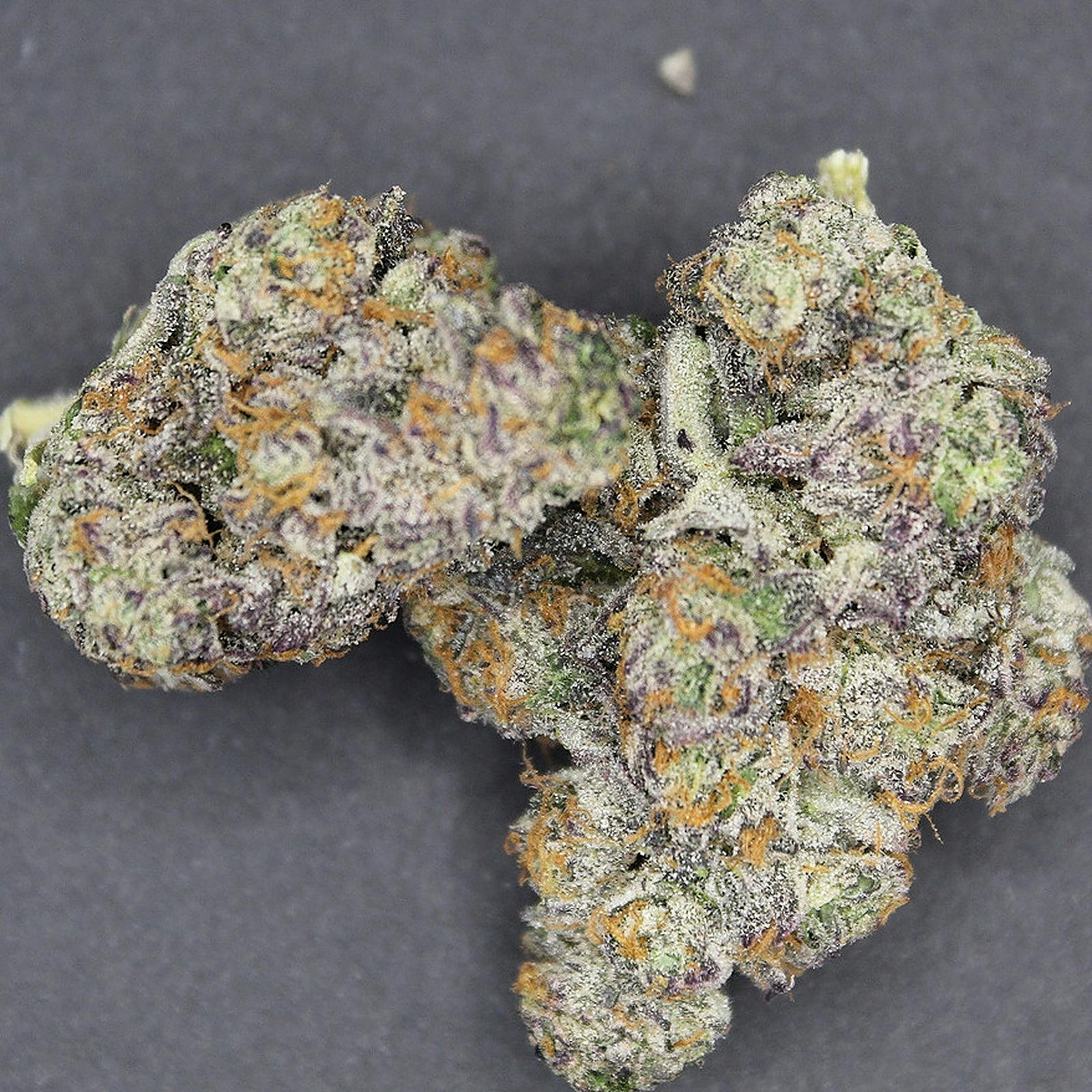 Lmfao Strain - bia9ks0