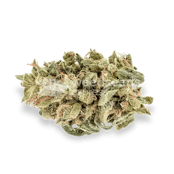 Photo of Hellfire OG Feminized Seeds