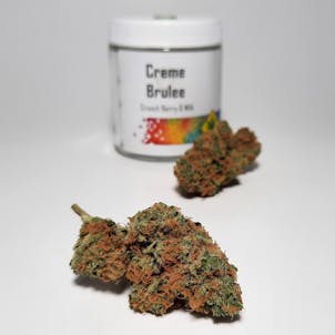Photo of Creme Brulee _ Premium Flower