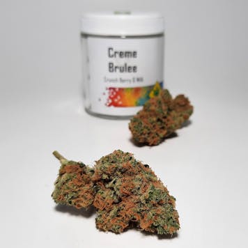Photo of Creme Brulee _ Premium Flower