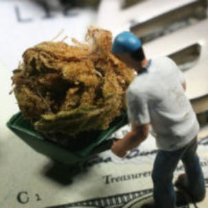 Photo of General Liability Insurance