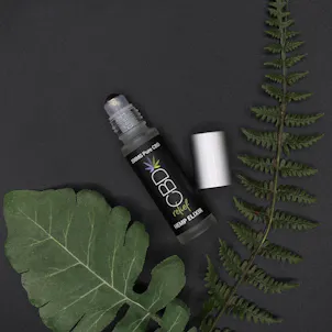 Photo of Hemp Elixir Roller 250mg CBD - Relief Blend