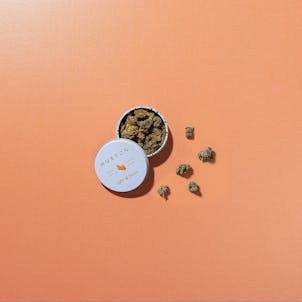 Photo of HIFI Lemon Skunk Budlet Tin (3.5g)