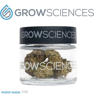 Photo of Apple Fritter (3.7)