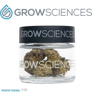 Photo of Apple Fritter (3.7)