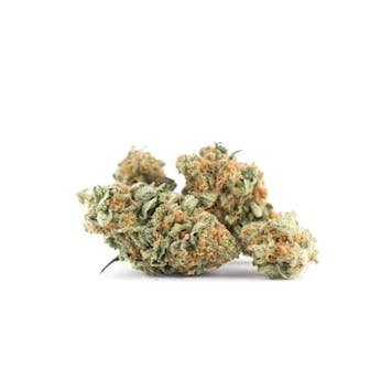 Photo of Green Crack Feminized