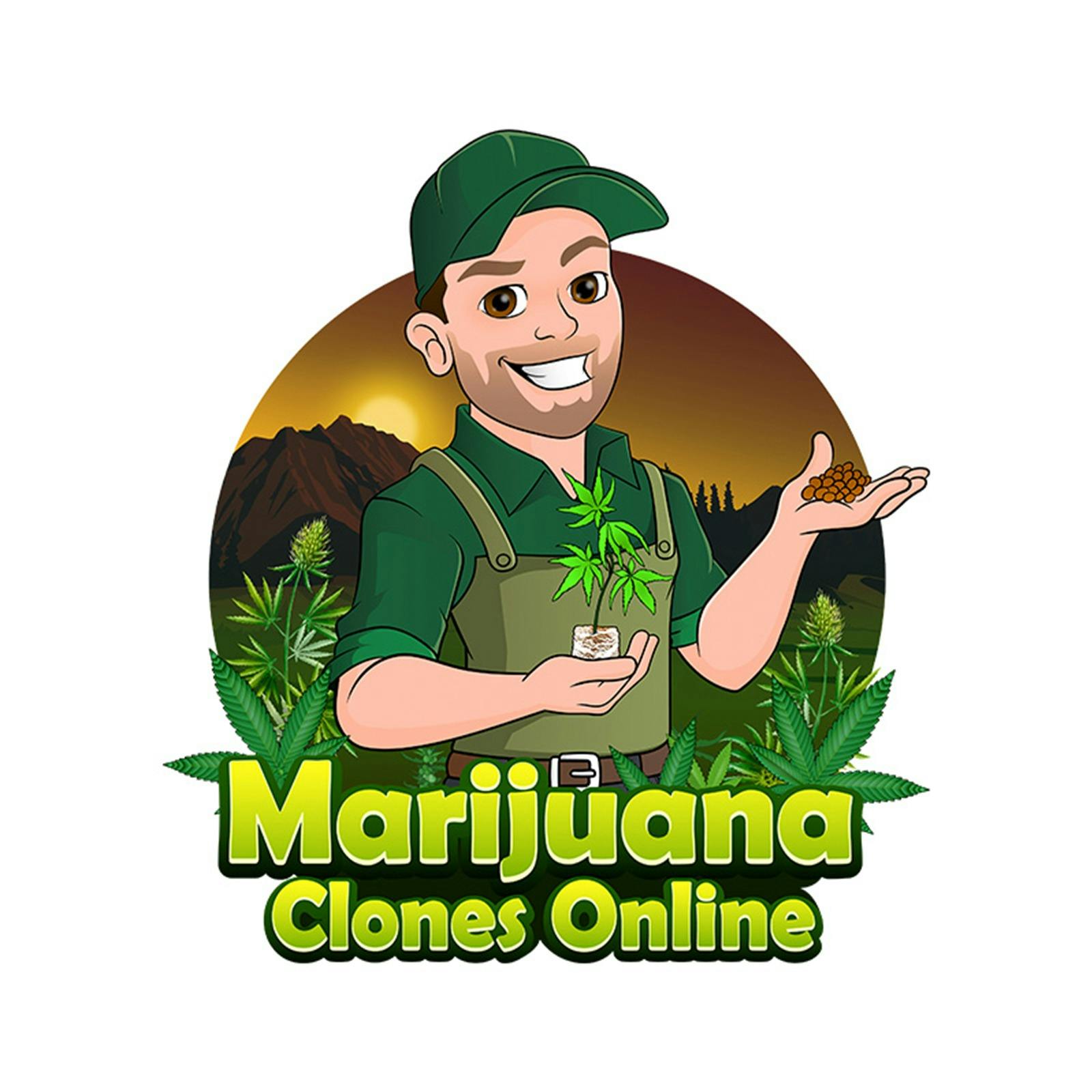Marijuana Clones Online: Wedding Cake Clones | Leafly