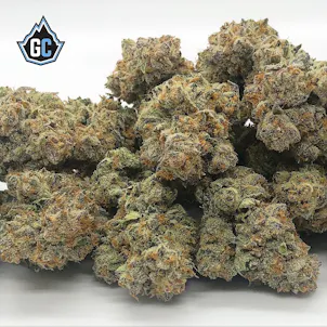 Photo of Banana Hammock flower