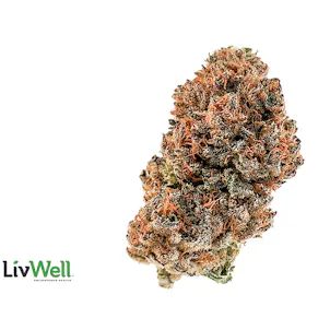 Photo of 10th Planet