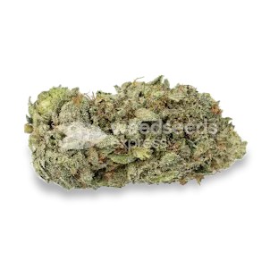 Photo of GMO Cookies Feminized Seeds