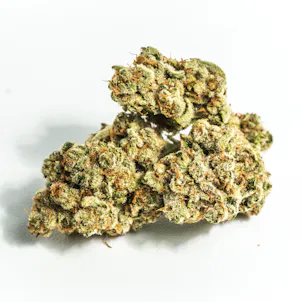 Photo of True Skunk