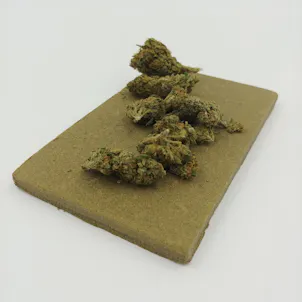 Photo of CBD bubble hash
