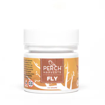 Photo of Blue Dream | FLY