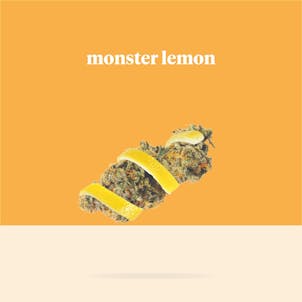 Photo of Social Media Management