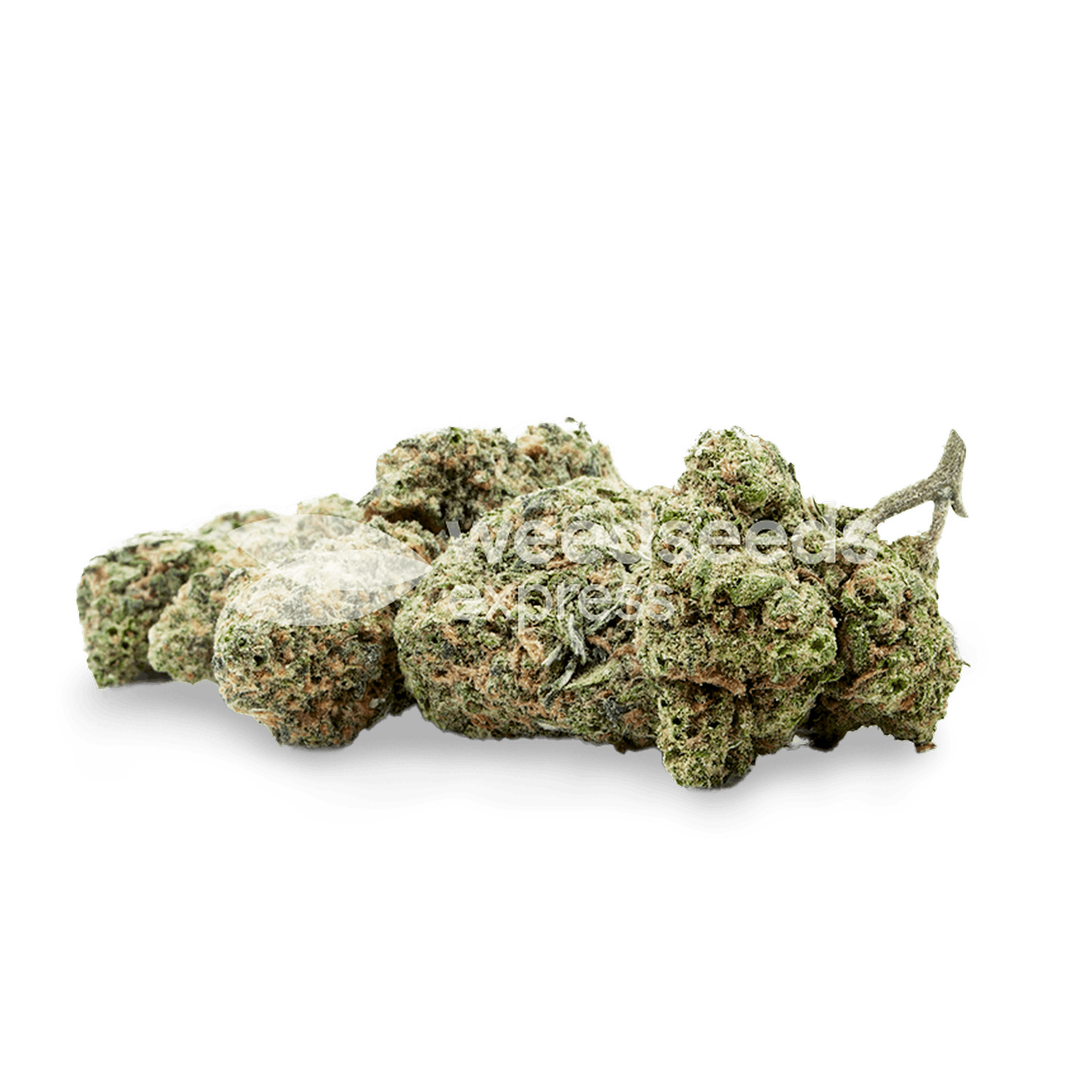 Weedseedsexpress Pineapple Express autoflower seeds Leafly