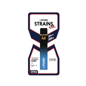 Photo of Thunder Cat