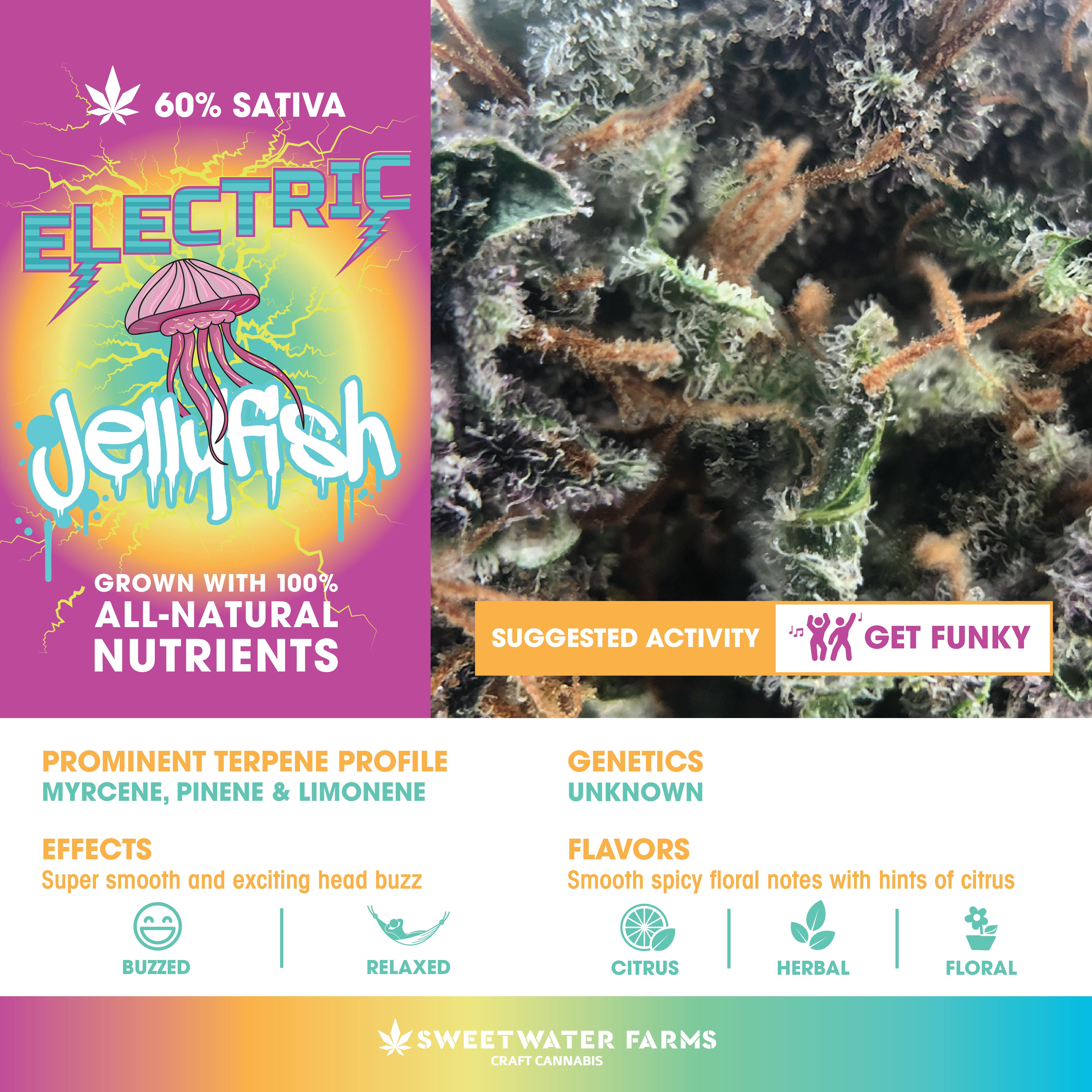 Sweetwater Farms Electric Jellyfish PreRolled Joints 1g (2pack