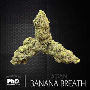 Photo of PhD Indoor Flower - Banana Breath