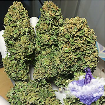 Photo of White Witch