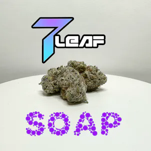 Photo of The Soap