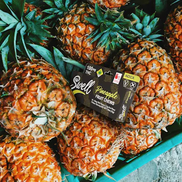 Photo of Indica Pineapple Fruit Chews 100mg 10-pack