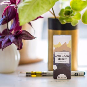 Photo of Sessions | Afternoon Delight