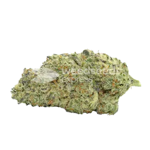 Photo of Kiwi Kush Autoflower Seeds