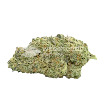 Photo of Kiwi Kush Autoflower Seeds