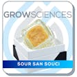 Product image for Sour San Souci Live Hash Rosin Baller Jar Badder (3.5 g)