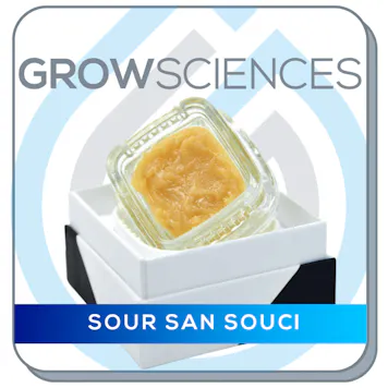Photo of Sour San Souci Live Hash Rosin Baller Jar Badder (3.5 g)