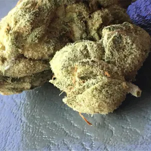 Photo of GG4