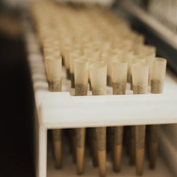 Photo of Pre-Roll Production Service