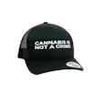Product image for RYOT® “Not a Crime” Retro Trucker Hat - Black