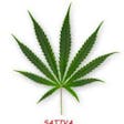 Product image for Sativa Strain