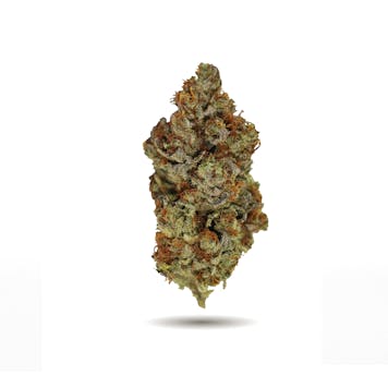 Photo of WINK TANGERINE COOKIES