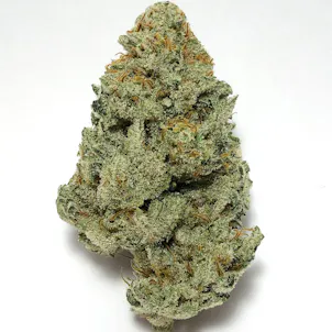 Photo of Chemdawg