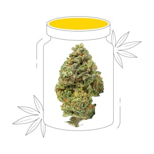 Photo of D8 Paris OG