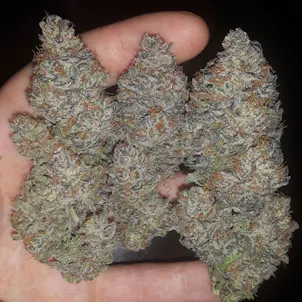 Photo of Unknown Kush