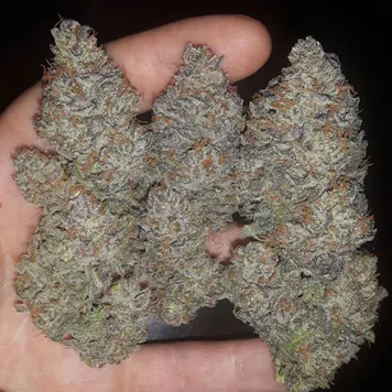 Photo of Unknown Kush