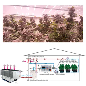 Photo of GSTS1000 Liquid Cooled Grow Lighting System Plan. Get an engineered system plan, energy comparisons.
