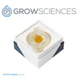 Product image for Melted Strawberries Live Hash Rosin Slushie (1g)