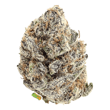 Photo of Cherry Tree (1/2 OZ)