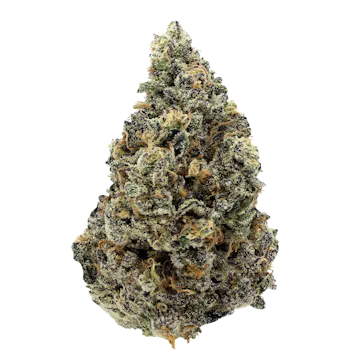 Photo of Purple Crush - 3.5g Flower - Manitoba